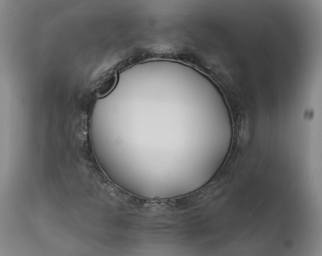 X0000110691301200906261334