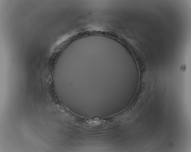 X0000110691303200906261334