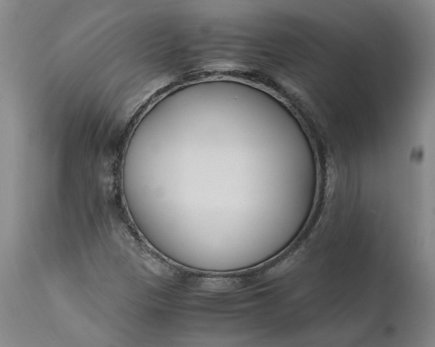 X0000110691305200906261334