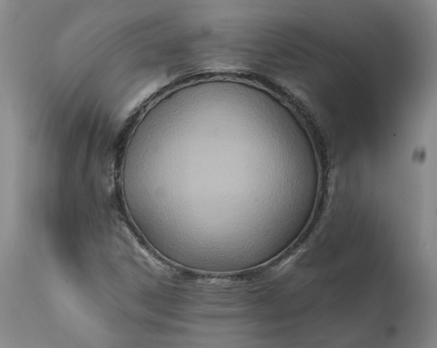 X0000110691306200906261334