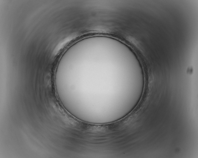 X0000110691307200906261335