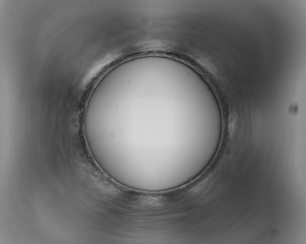 X0000110691309200906261335