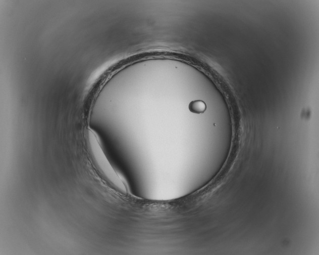 X0000110691310200906261335