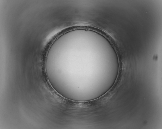 X0000110691311200906261335