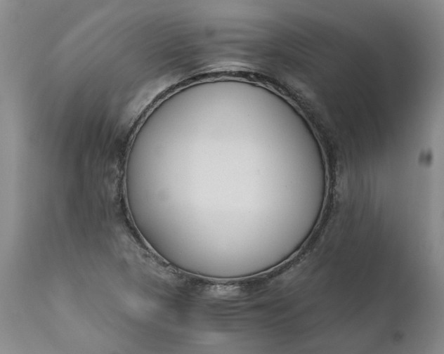 X0000110691313200906261335