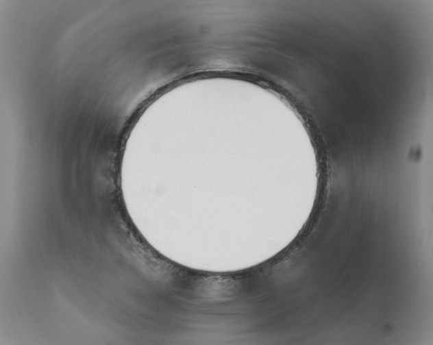 X0000110691314200906261335