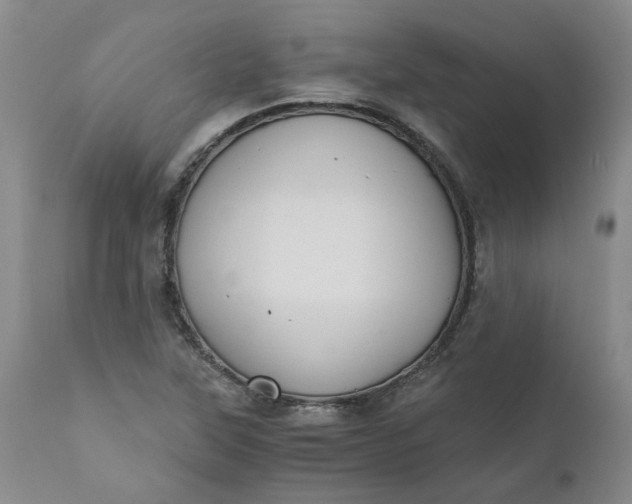 X0000110691315200906261335