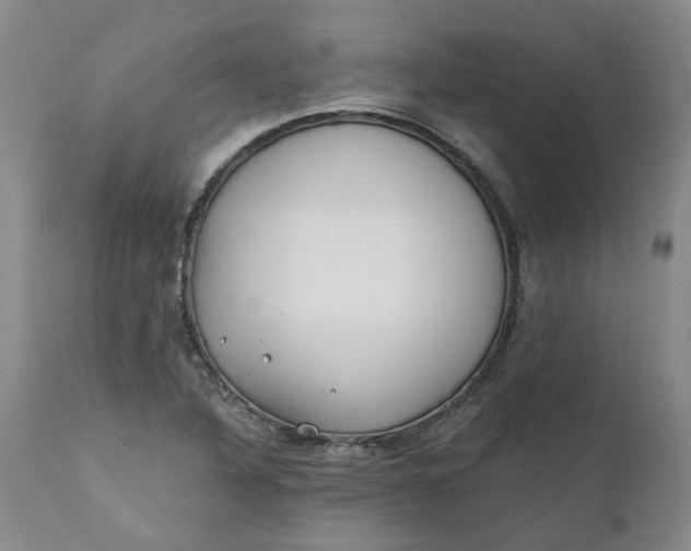 X0000110691316200906261335