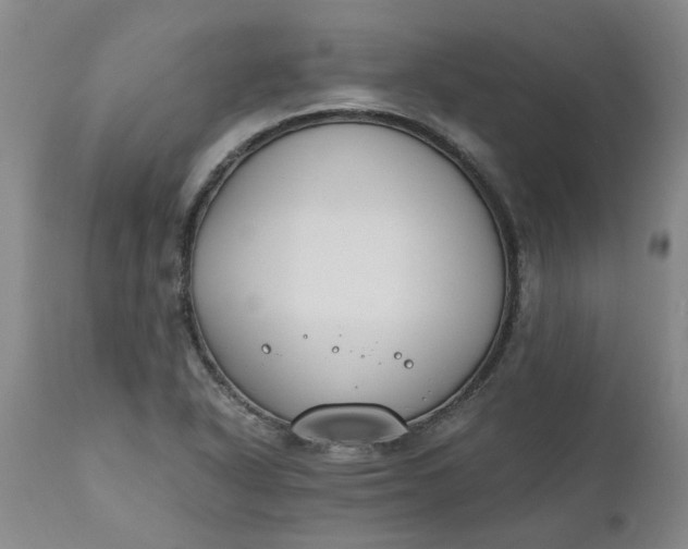 X0000110691318200906261335