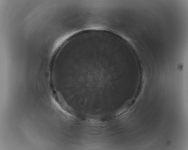 X0000110691319200906261335