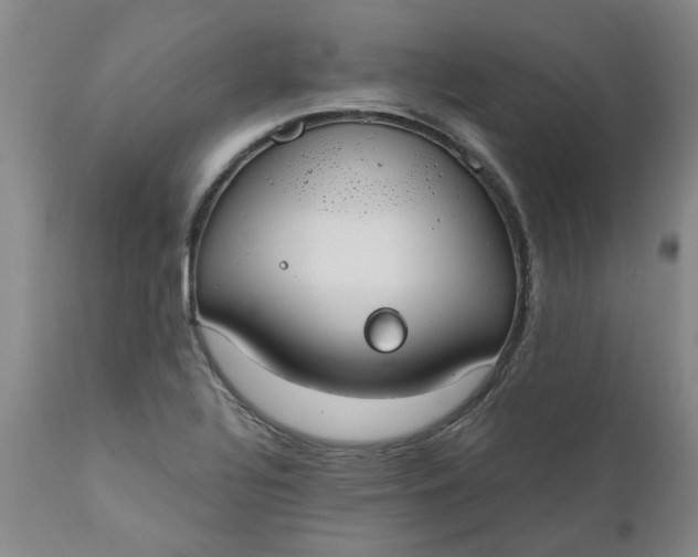 X0000110691320200906261335