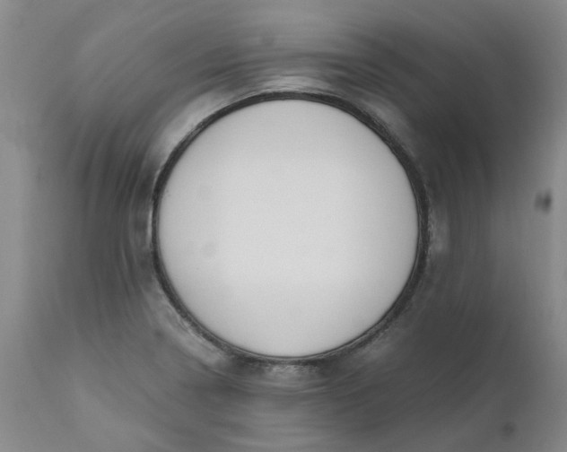 X0000110691322200906261335