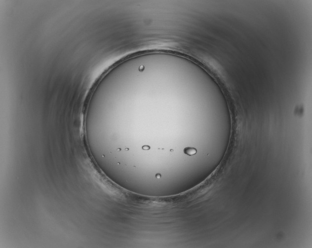 X0000110691324200906261335