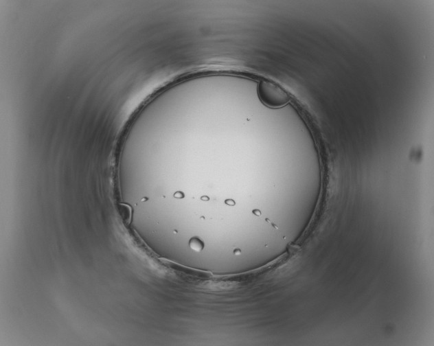 X0000110691325200906261335