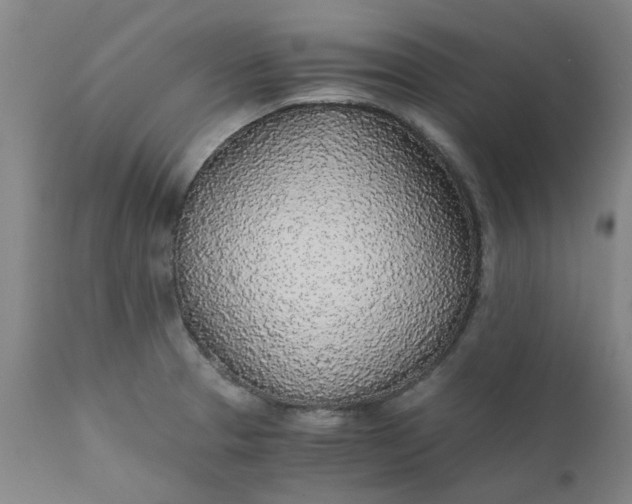 X0000110691329200906261335