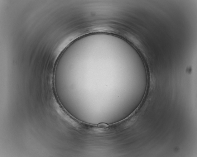 X0000110691330200906261335