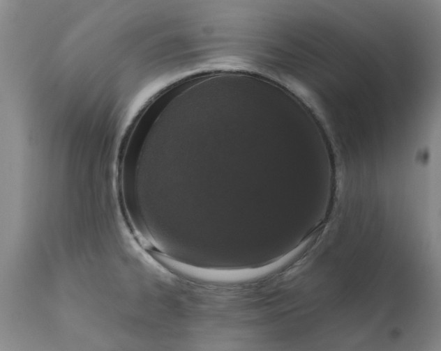 X0000110691334200906261335