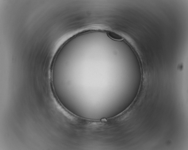 X0000110691335200906261335