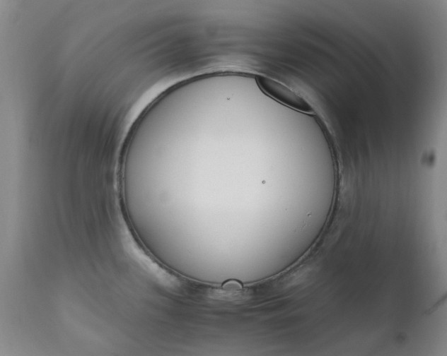 X0000110691339200906261335