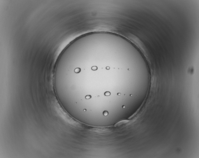 X0000110691340200906261335