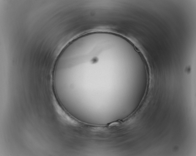 X0000110691341200906261335