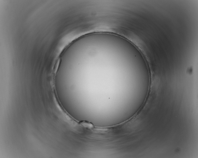 X0000110691342200906261335