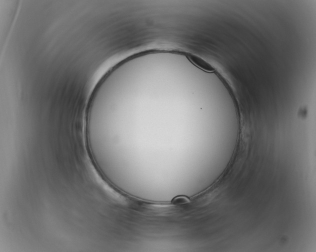 X0000110691343200906261335