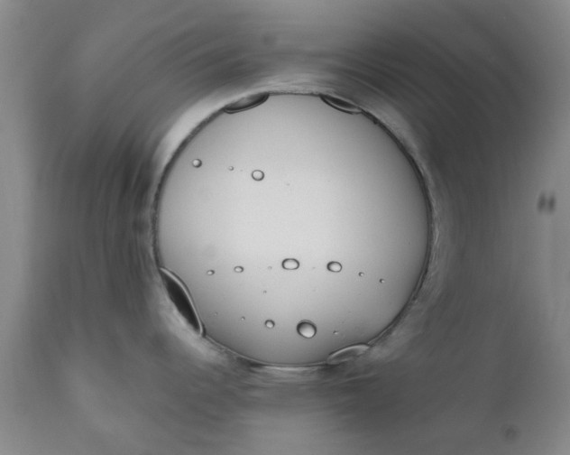 X0000110691344200906261335