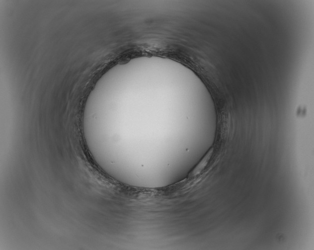 X0000110691345200906261334