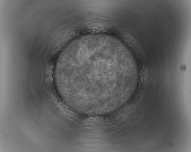 X0000110691346200906261334