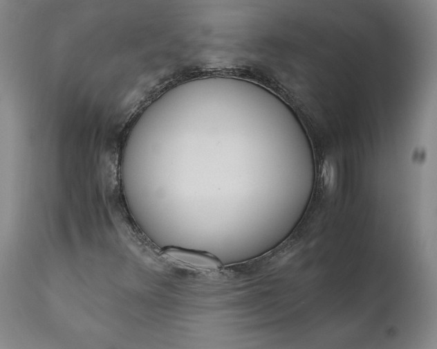 X0000110691348200906261334