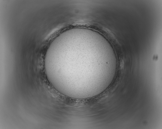 X0000110691350200906261334