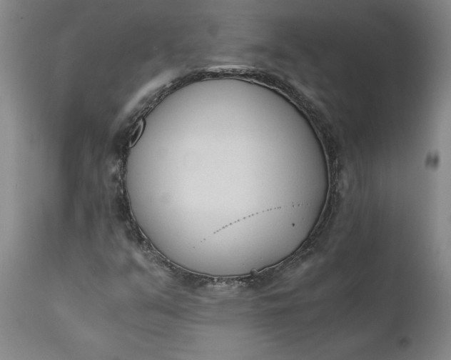 X0000110691351200906261334