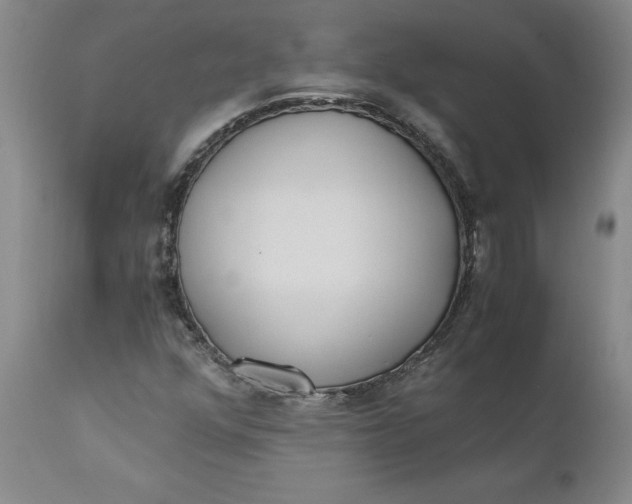 X0000110691352200906261334