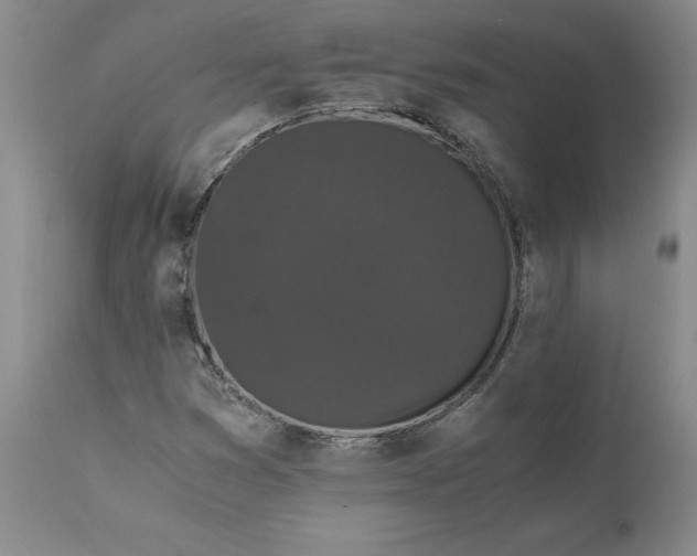 X0000110691353200906261334