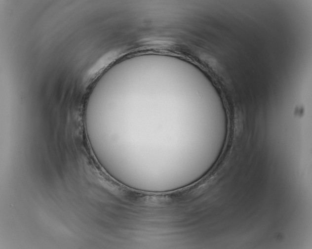 X0000110691354200906261334