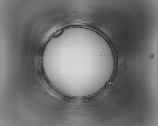 X0000110691355200906261334