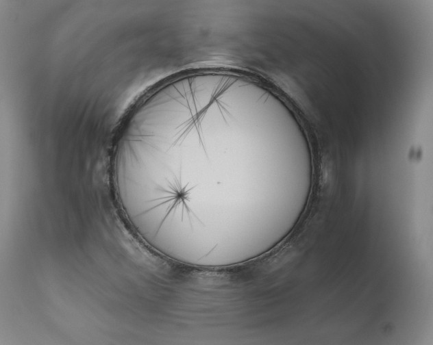 X0000110691356200906261334