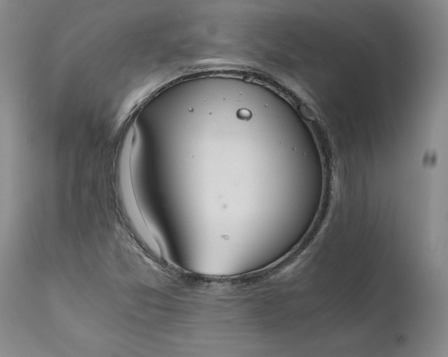 X0000110691357200906261334