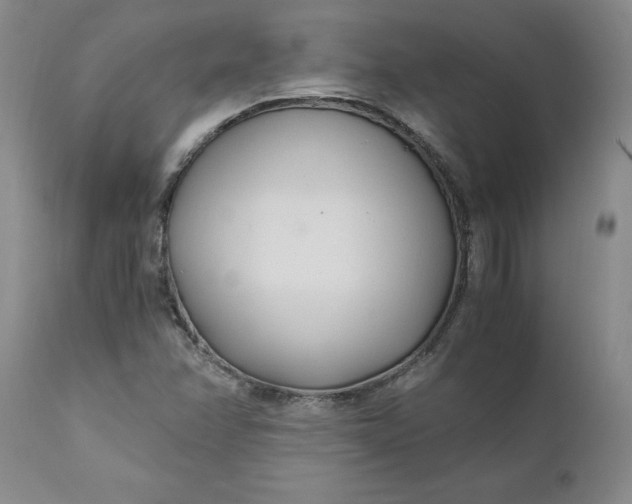 X0000110691358200906261334