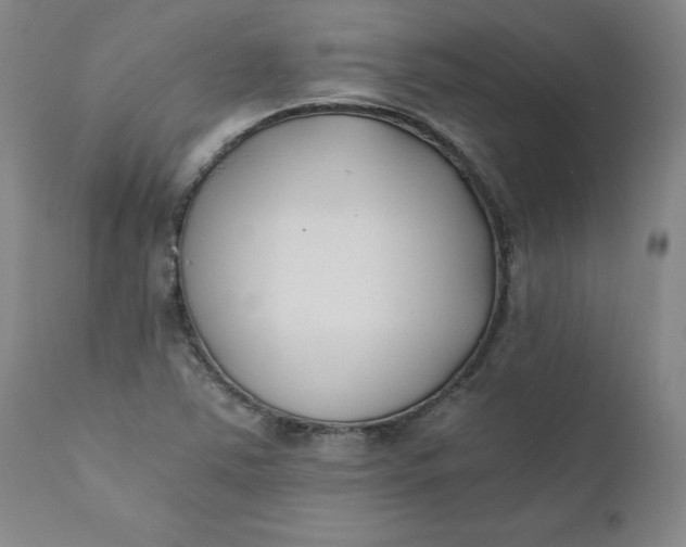 X0000110691363200906261334