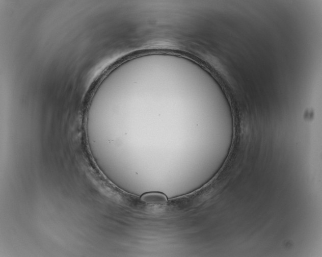 X0000110691364200906261334