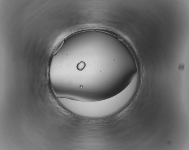 X0000110691365200906261334