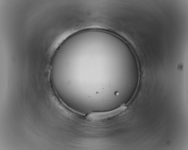 X0000110691367200906261334