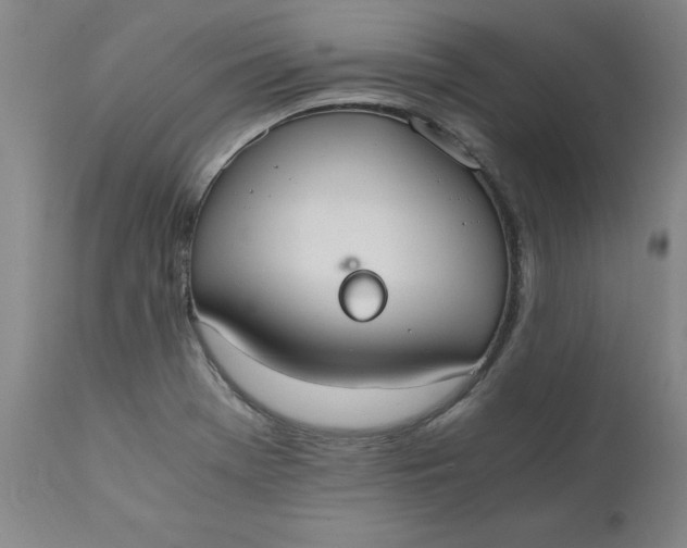 X0000110691369200906261334