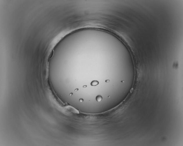 X0000110691371200906261334