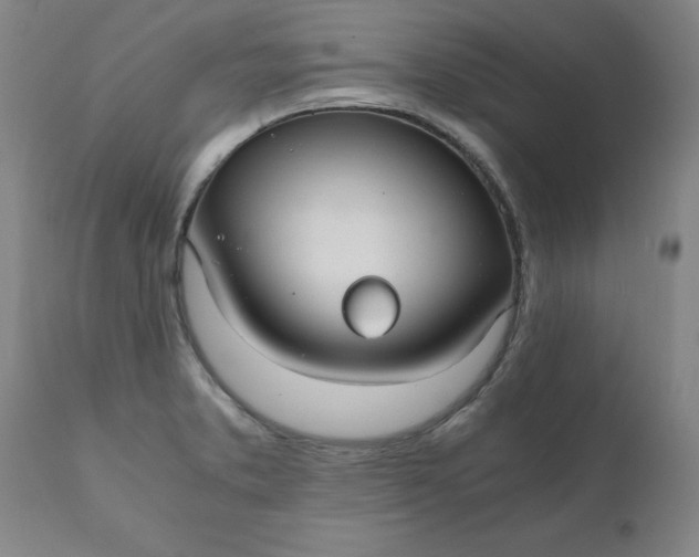 X0000110691373200906261334