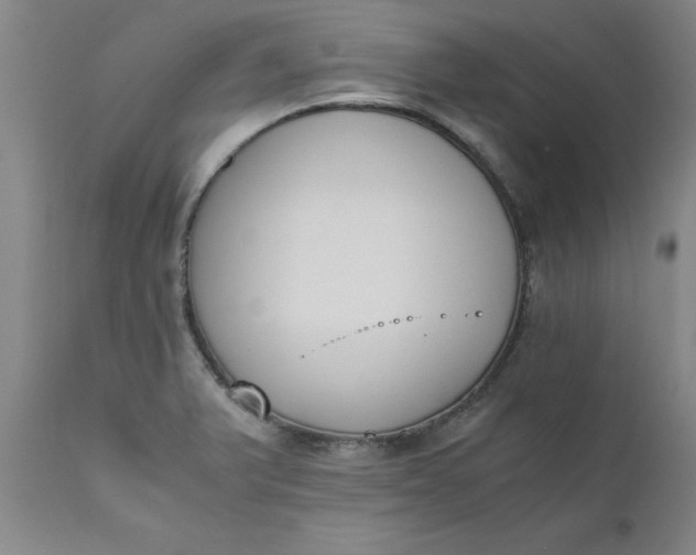 X0000110691375200906261334