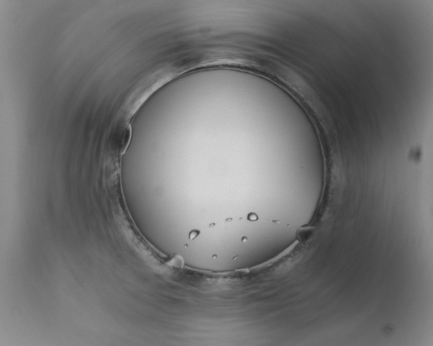 X0000110691377200906261334