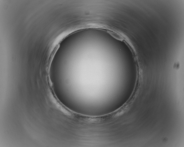 X0000110691381200906261334